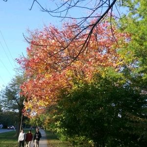 Meet your Posher, Jaime